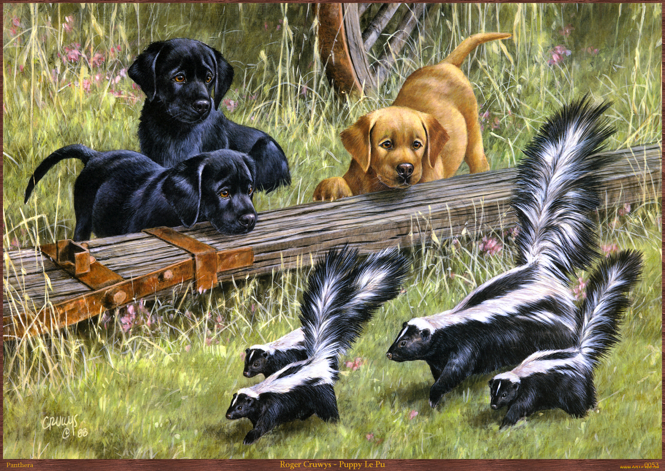 roger, cruwys, puppy, le, pu, , , , 